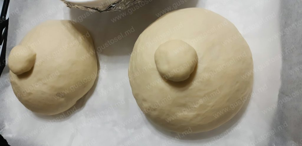 Supa crema cu piept de pui si ciuperci